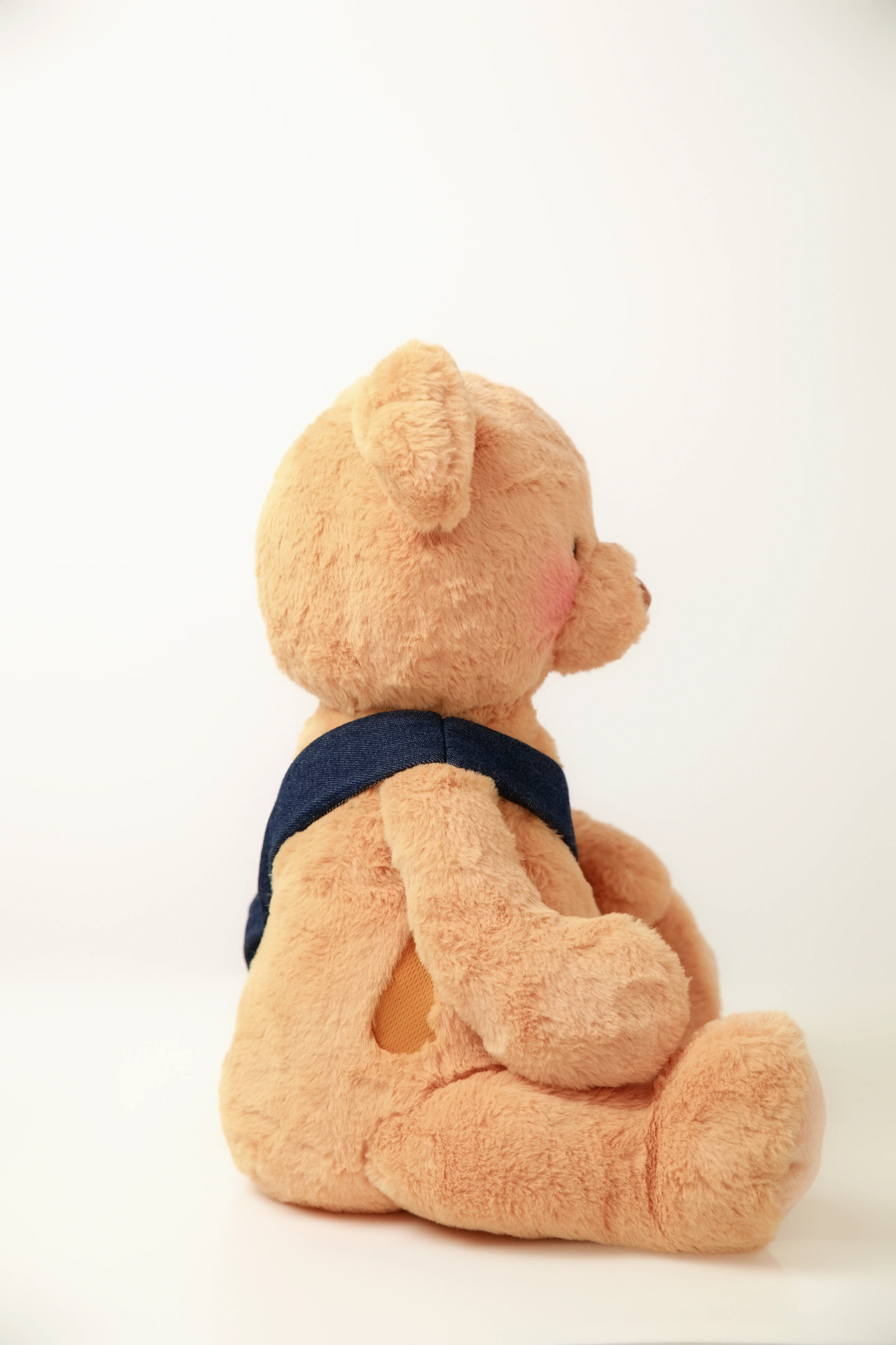 Teddy